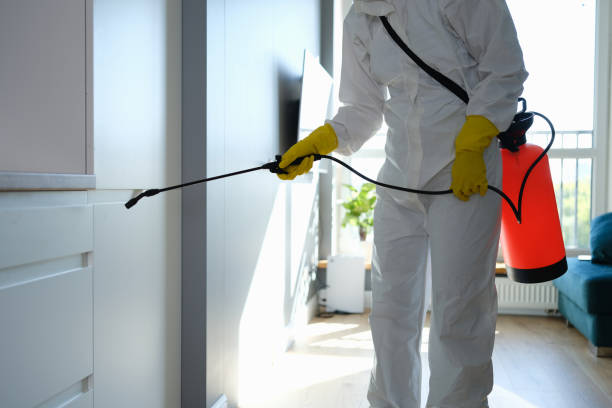 Best Emergency Mold Removal  in New Berlin, WI