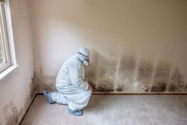 Best Mold Testing  in New Berlin, WI