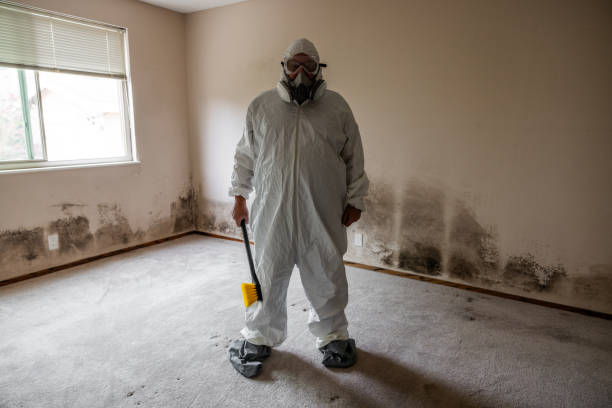 Best Certified Mold Removal  in New Berlin, WI